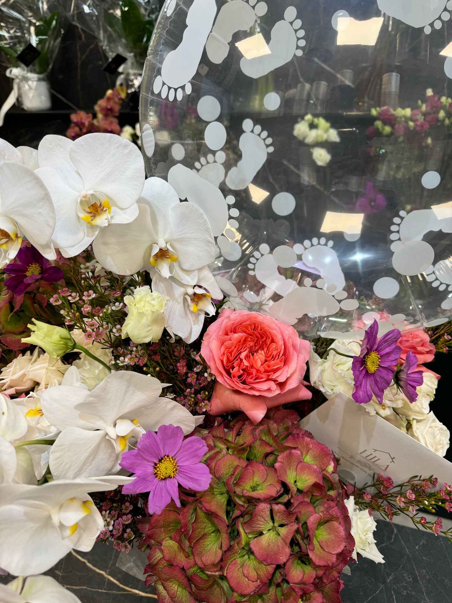 Elegance- Ridiculously Awesome