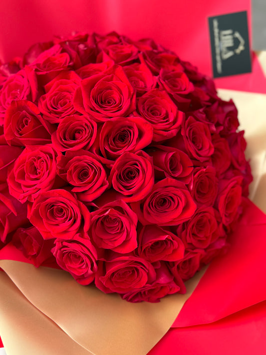 Royal Magnificent - 70