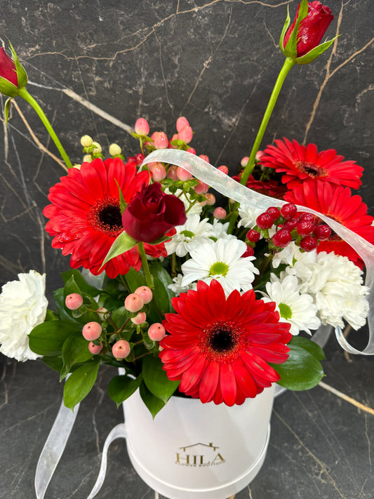 Elegance - Extraordinary