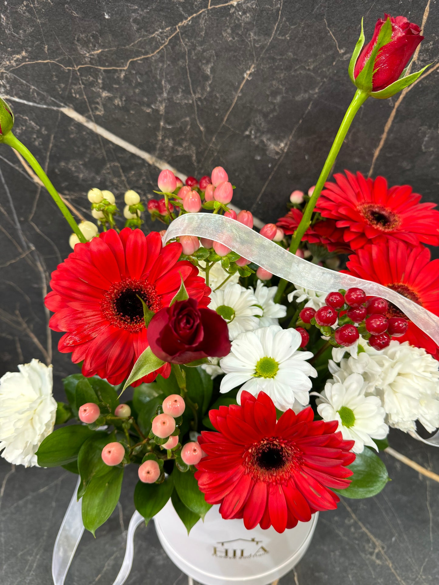 Elegance - Extraordinary