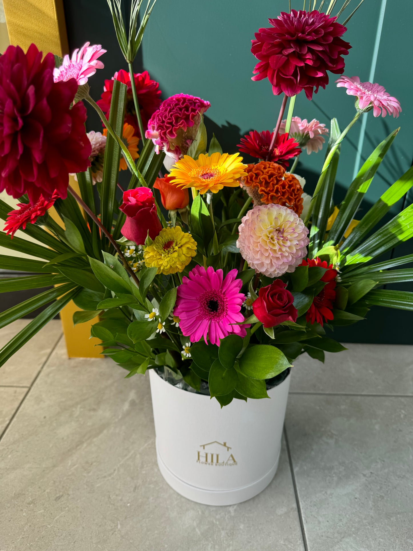 Elegance - Extraordinary