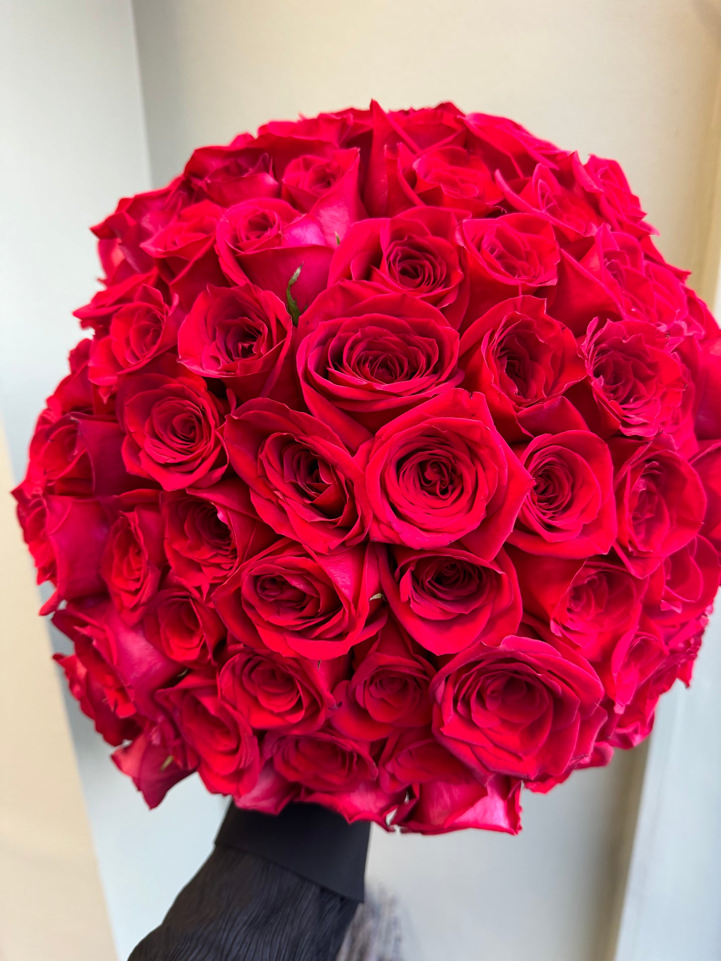 Royal Radiance - 101