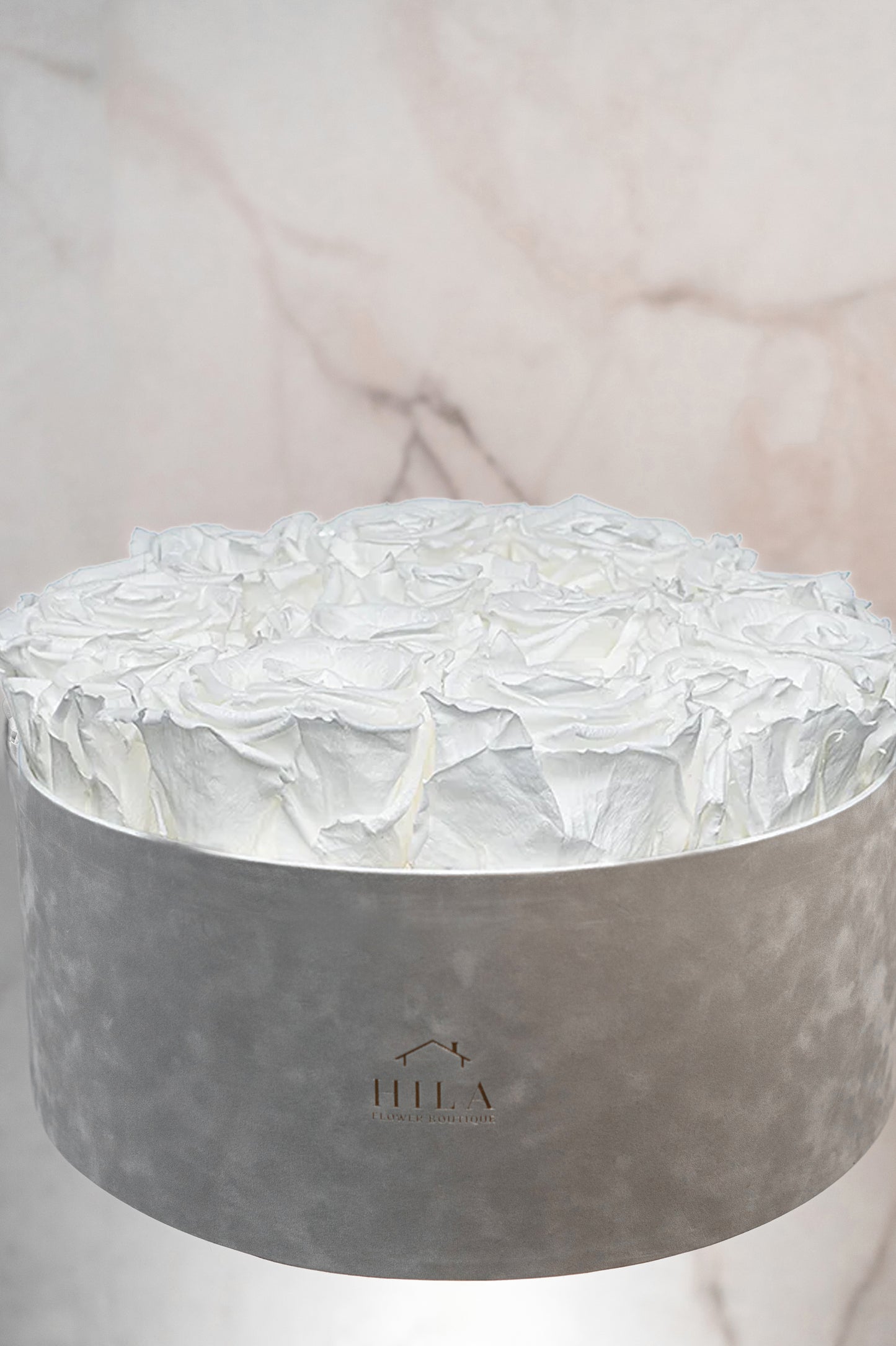 Regal Elegance - 120