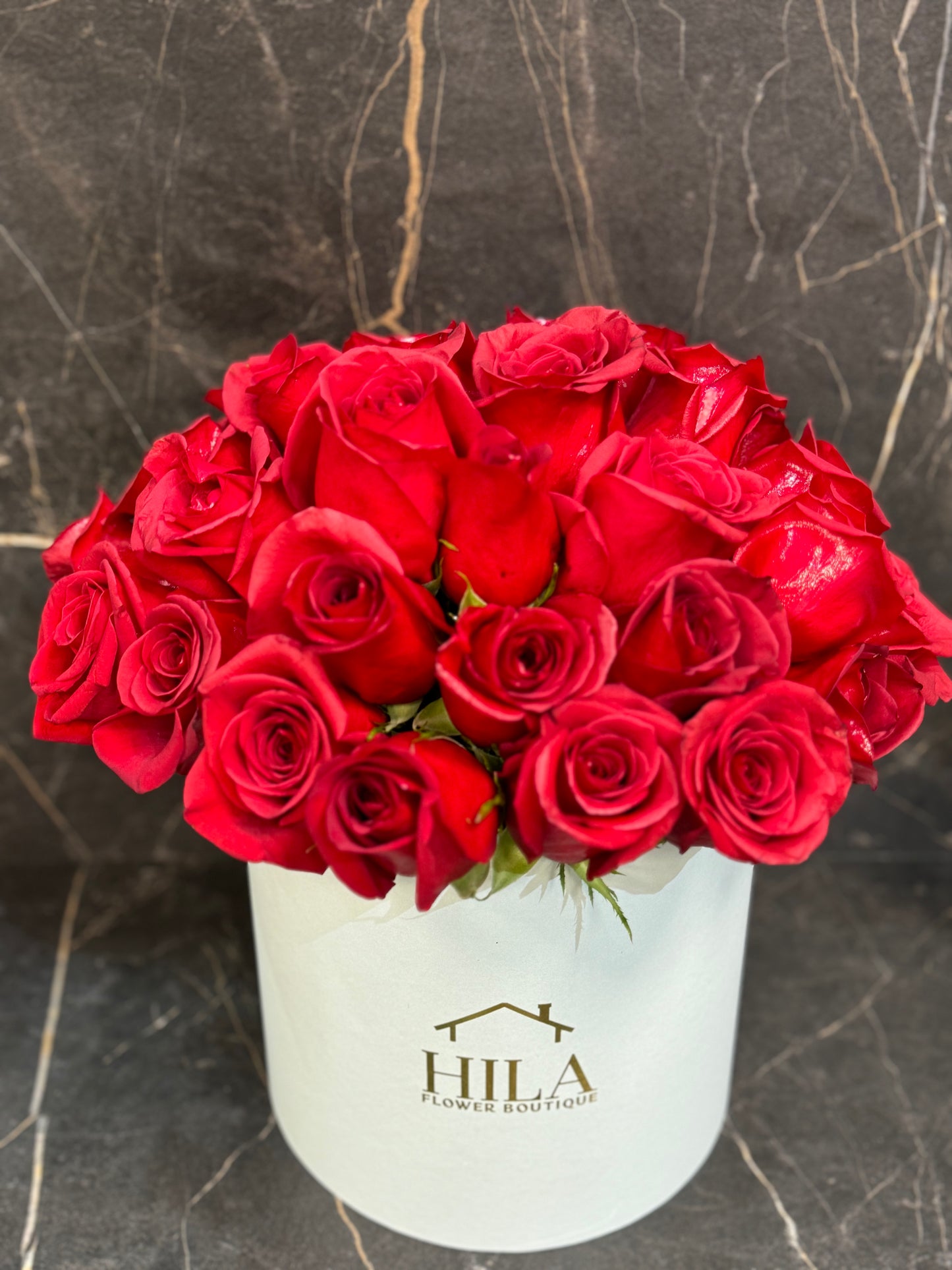 Regal Sophistication