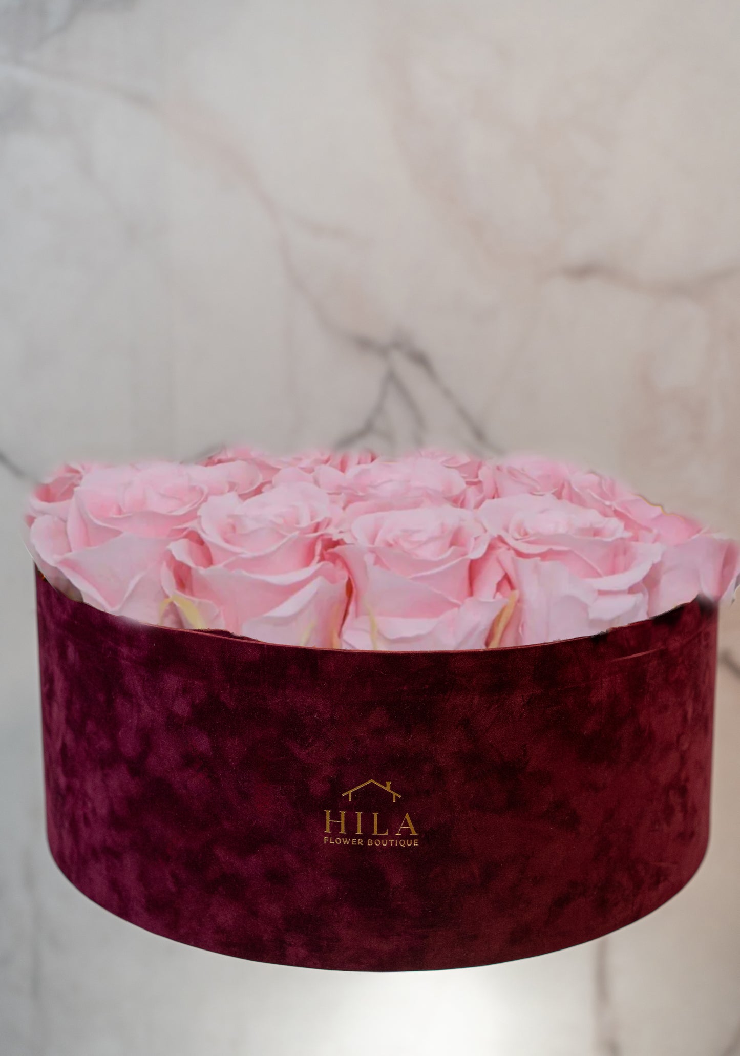 Regal Elegance - 120