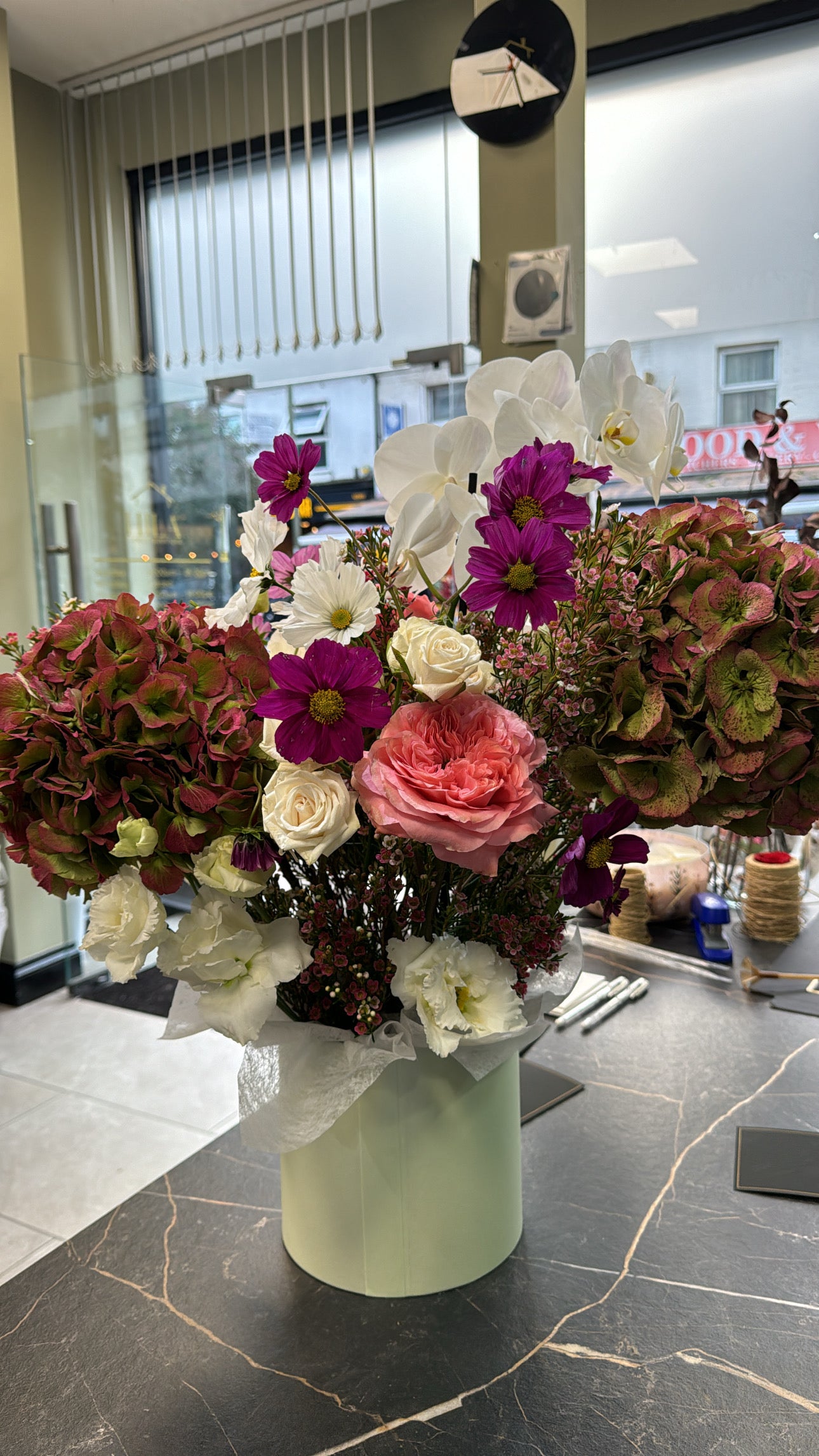 Elegance- Ridiculously Awesome