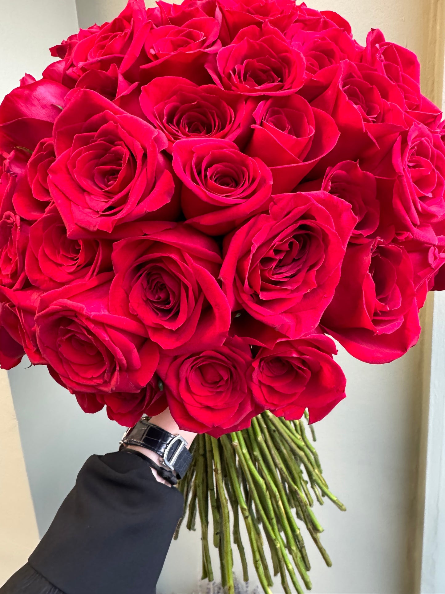 Royal Radiance - 101