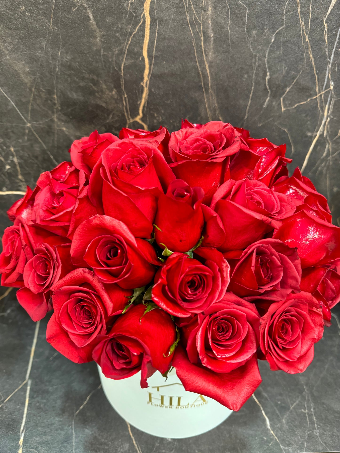 Regal Sophistication