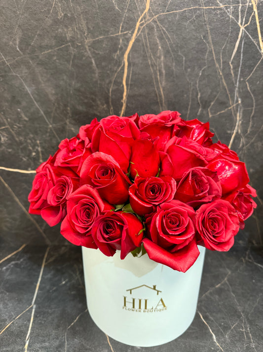 Regal Sophistication