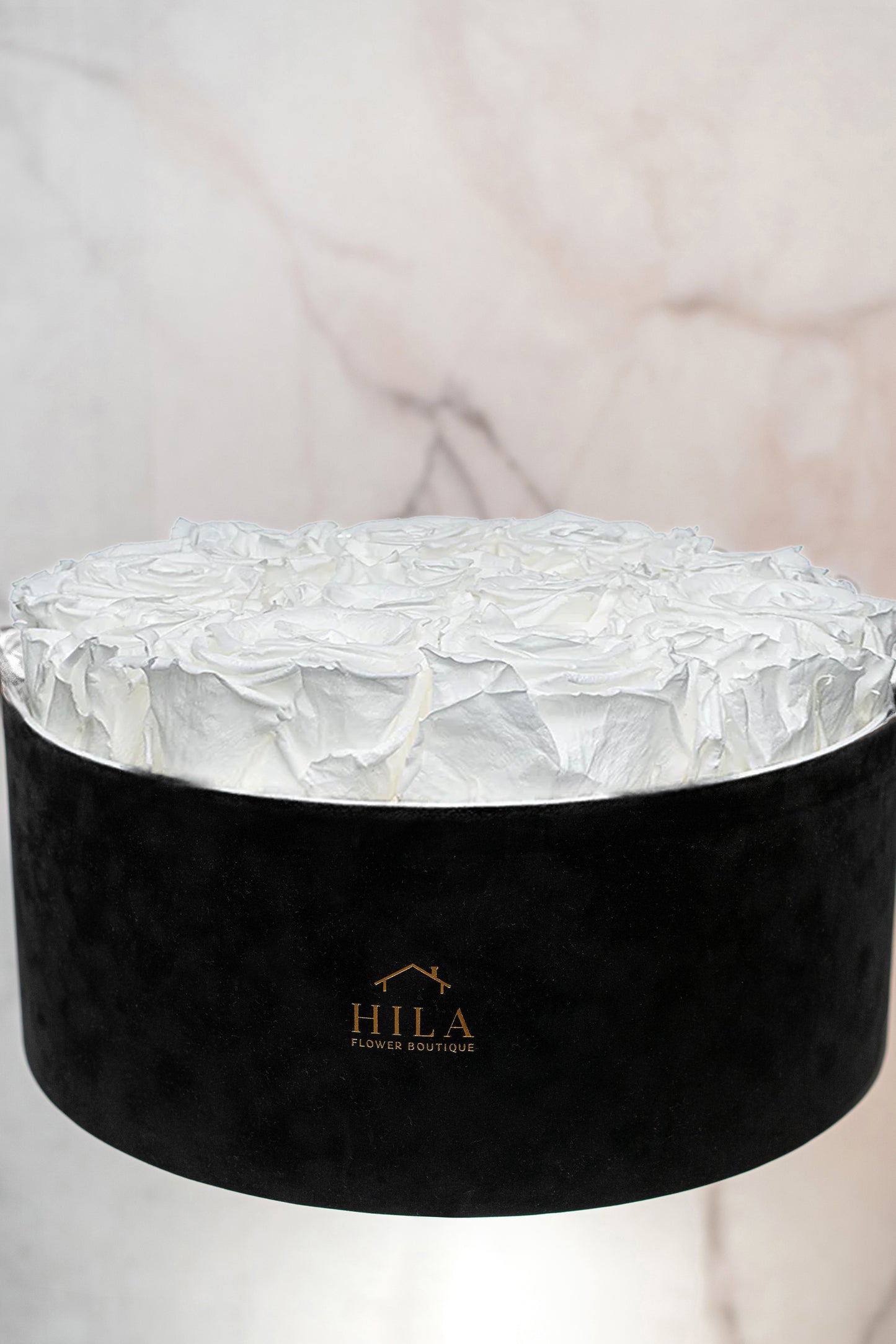 Regal Elegance - 120