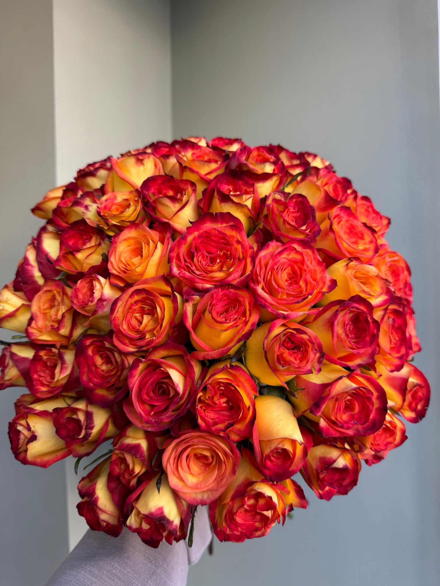 Royal Magnificent - 70