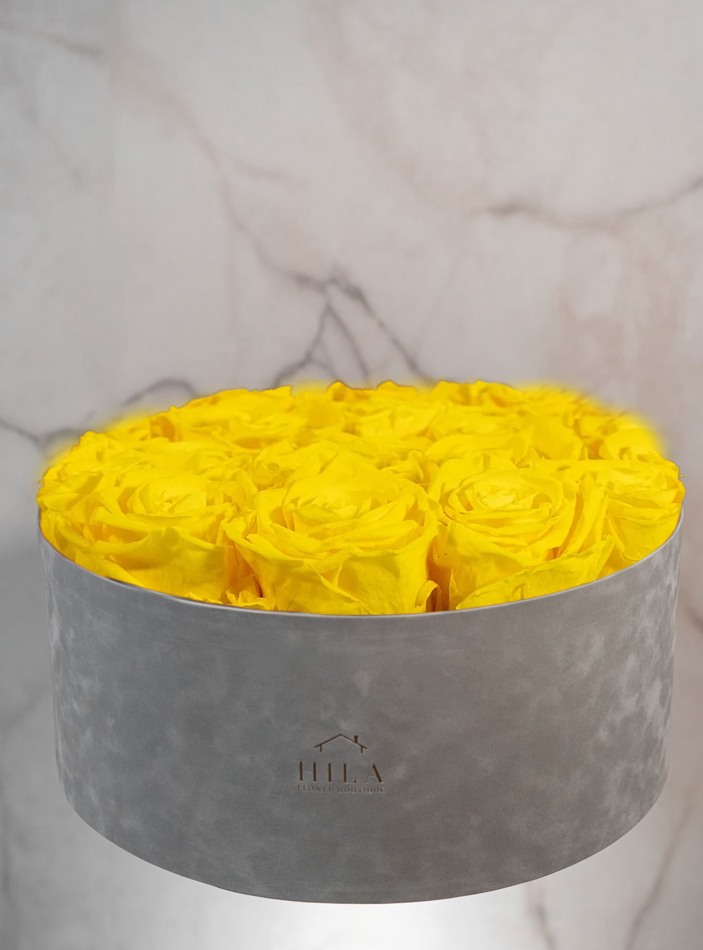 Regal Elegance - 120