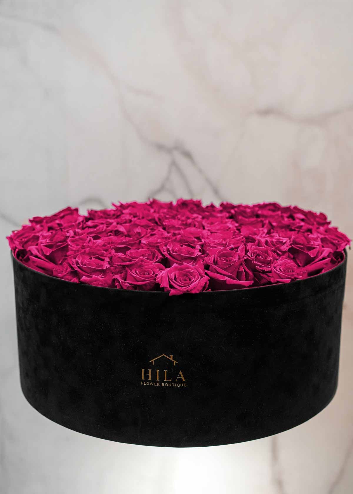 Regal Elegance - 120