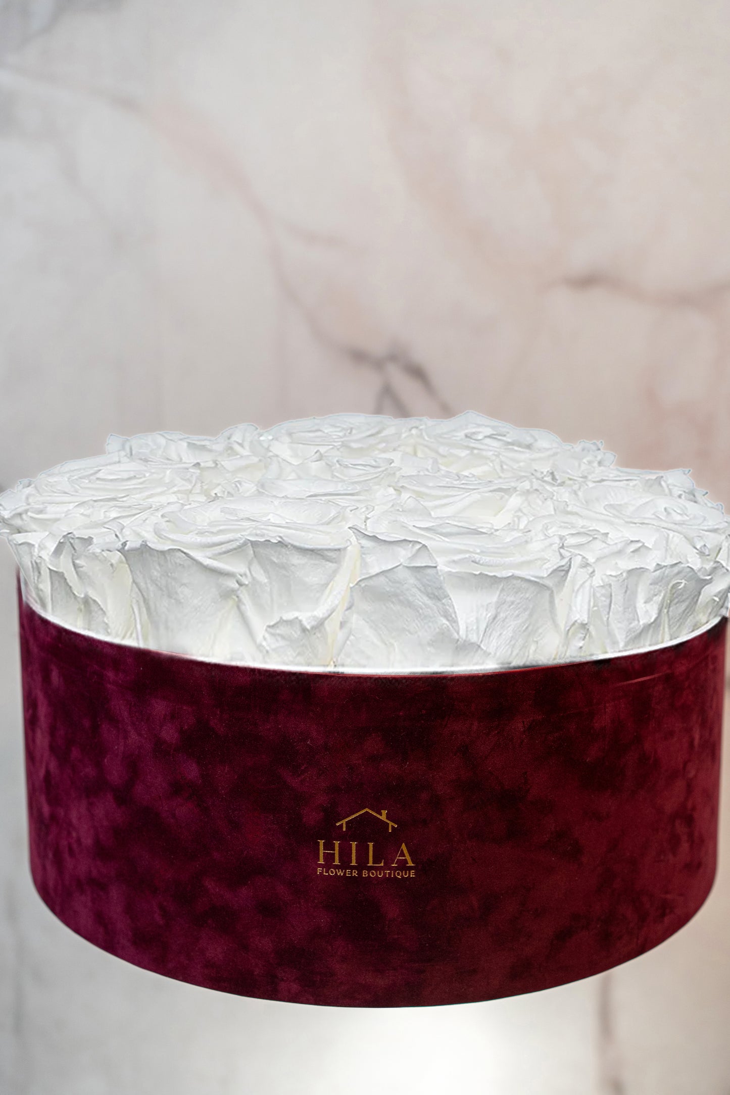 Regal Elegance - 120