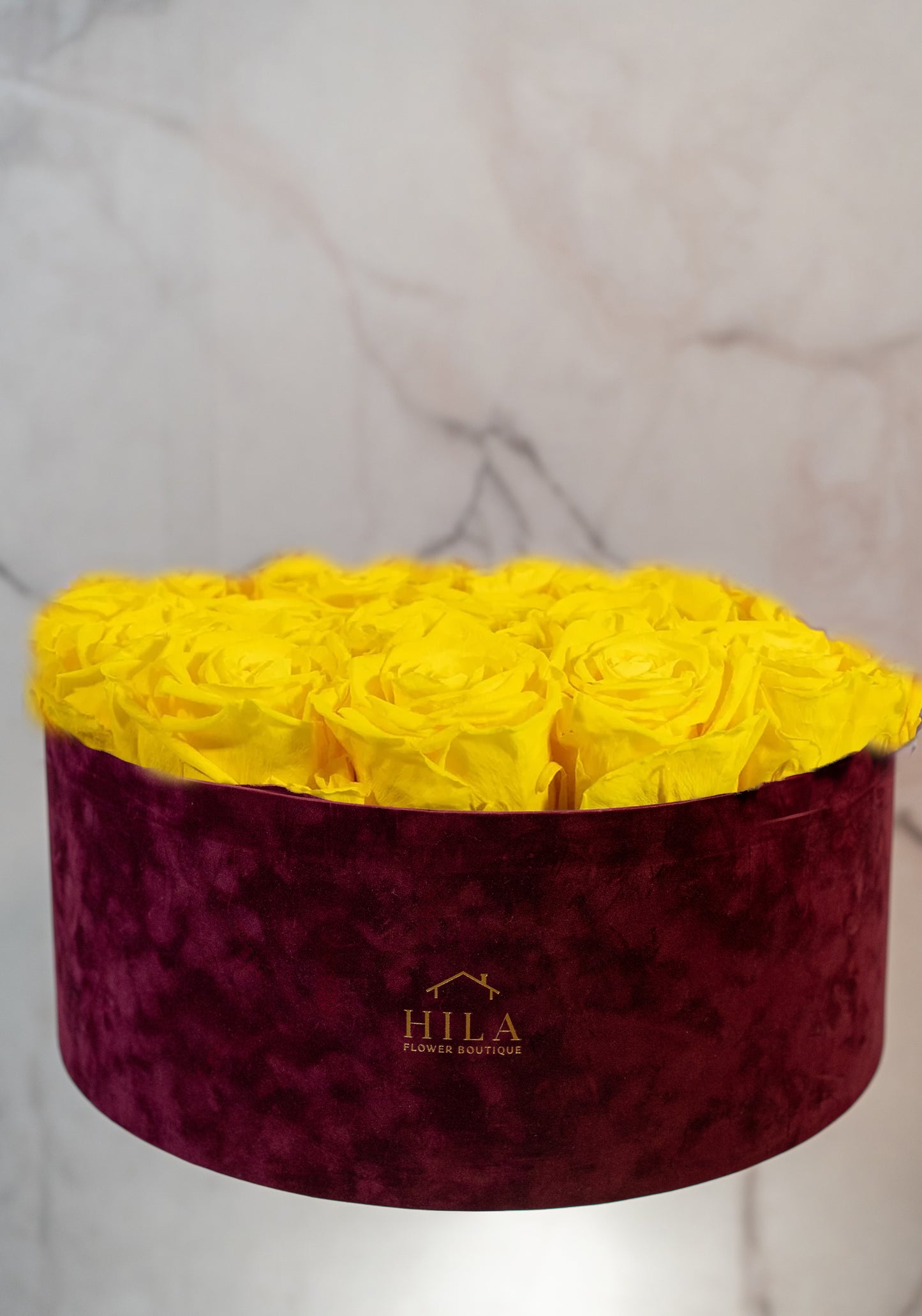 Regal Elegance - 120