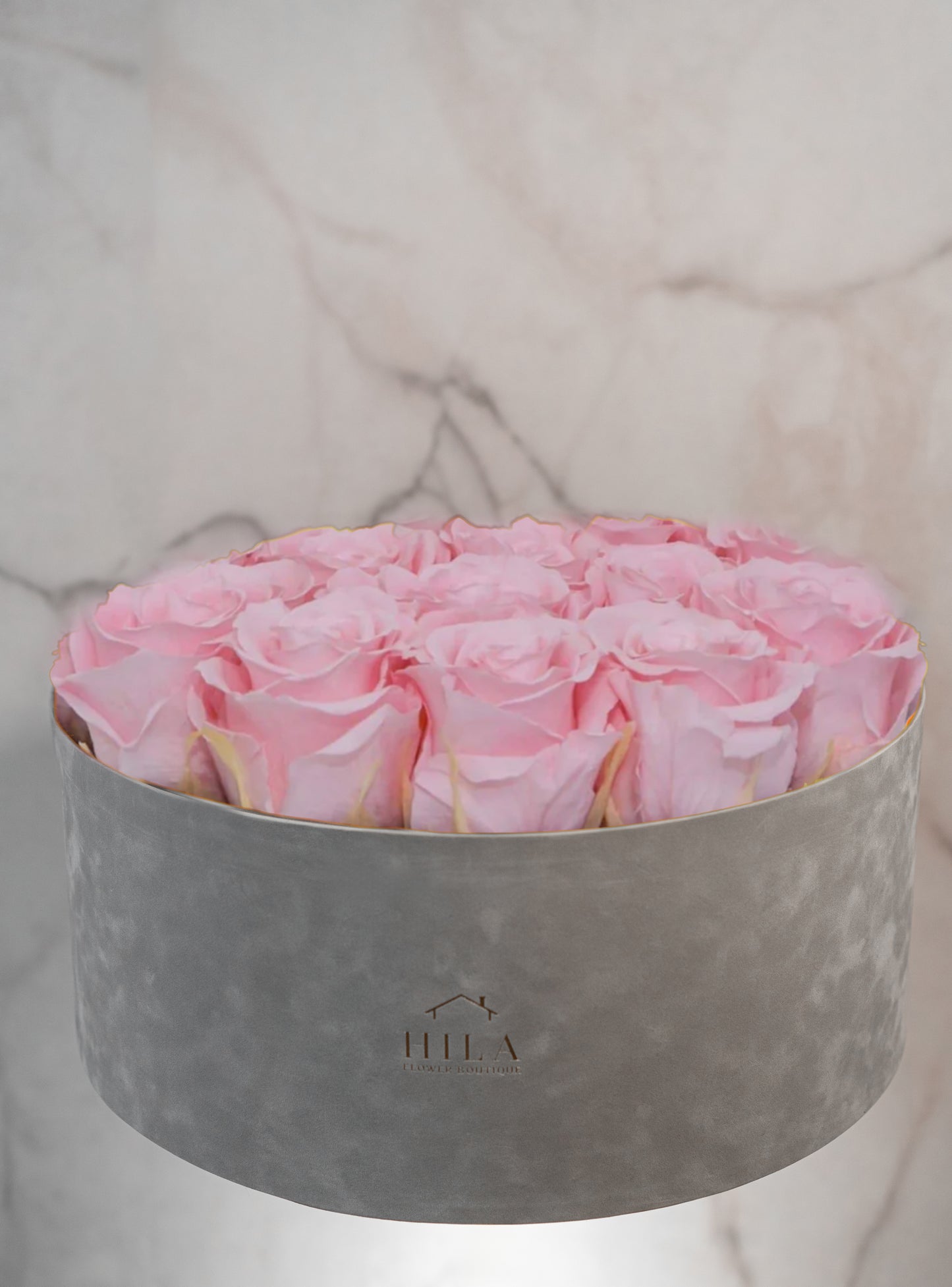 Regal Elegance - 120