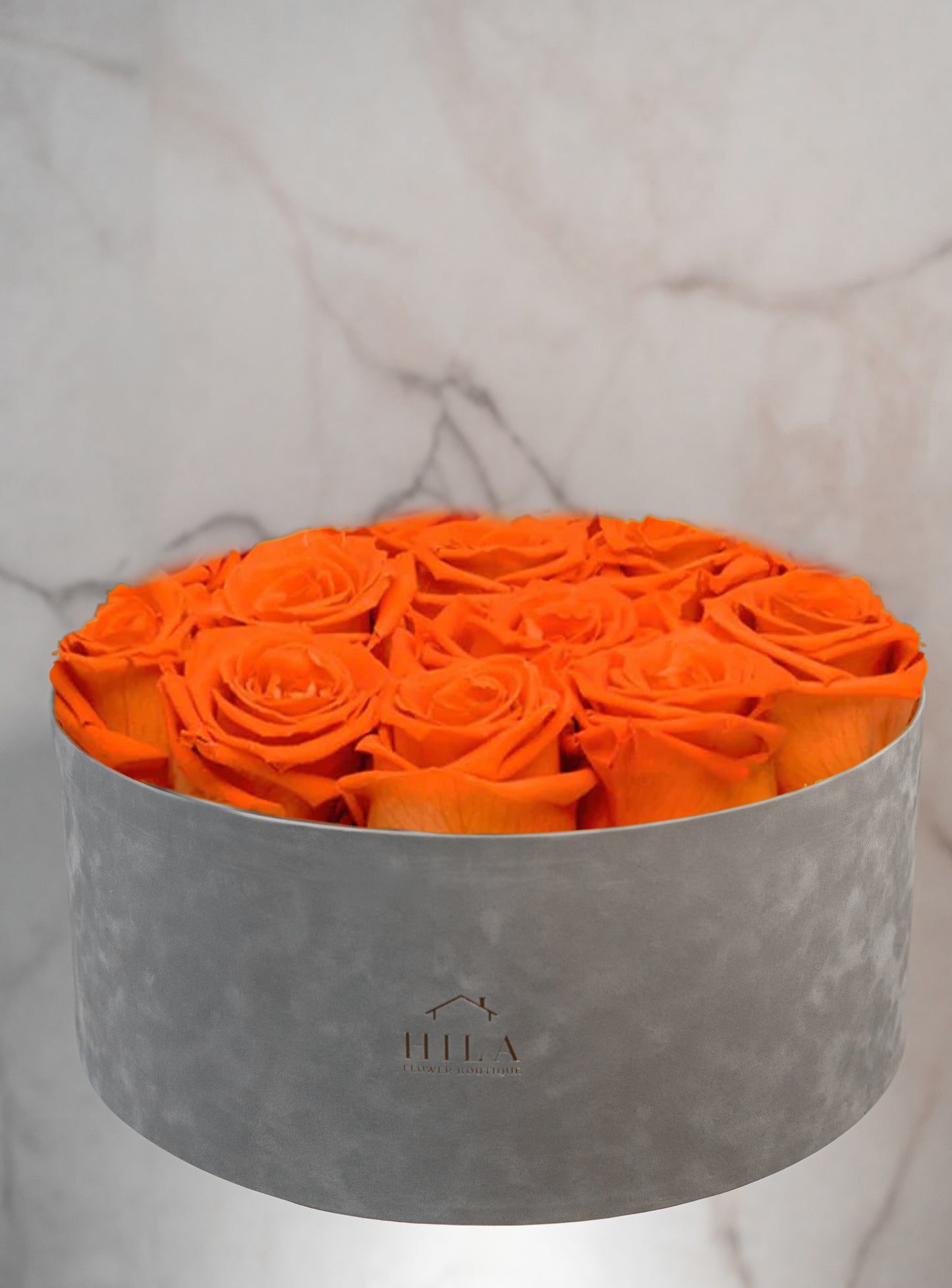 Regal Elegance - 120