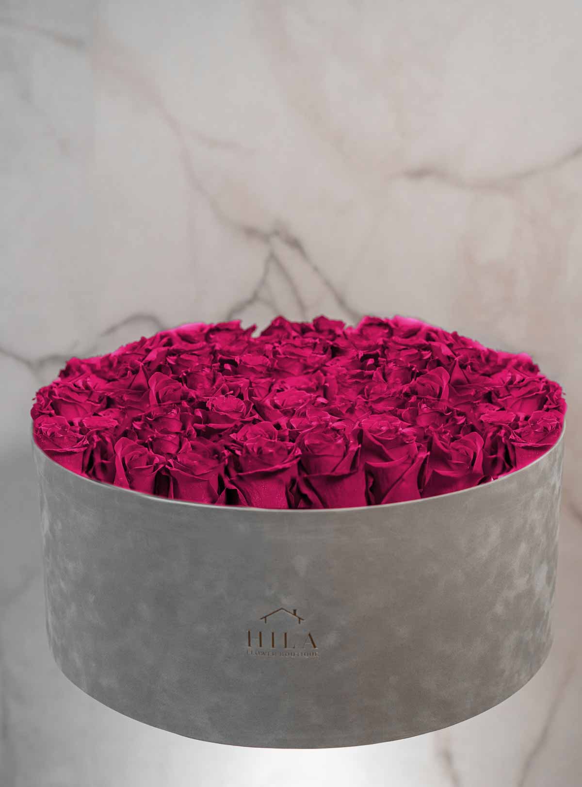 Regal Elegance - 120