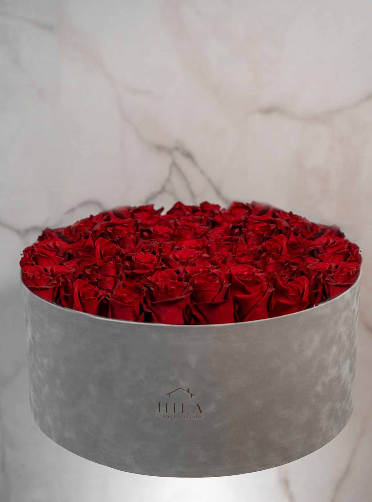 Regal Elegance - 120