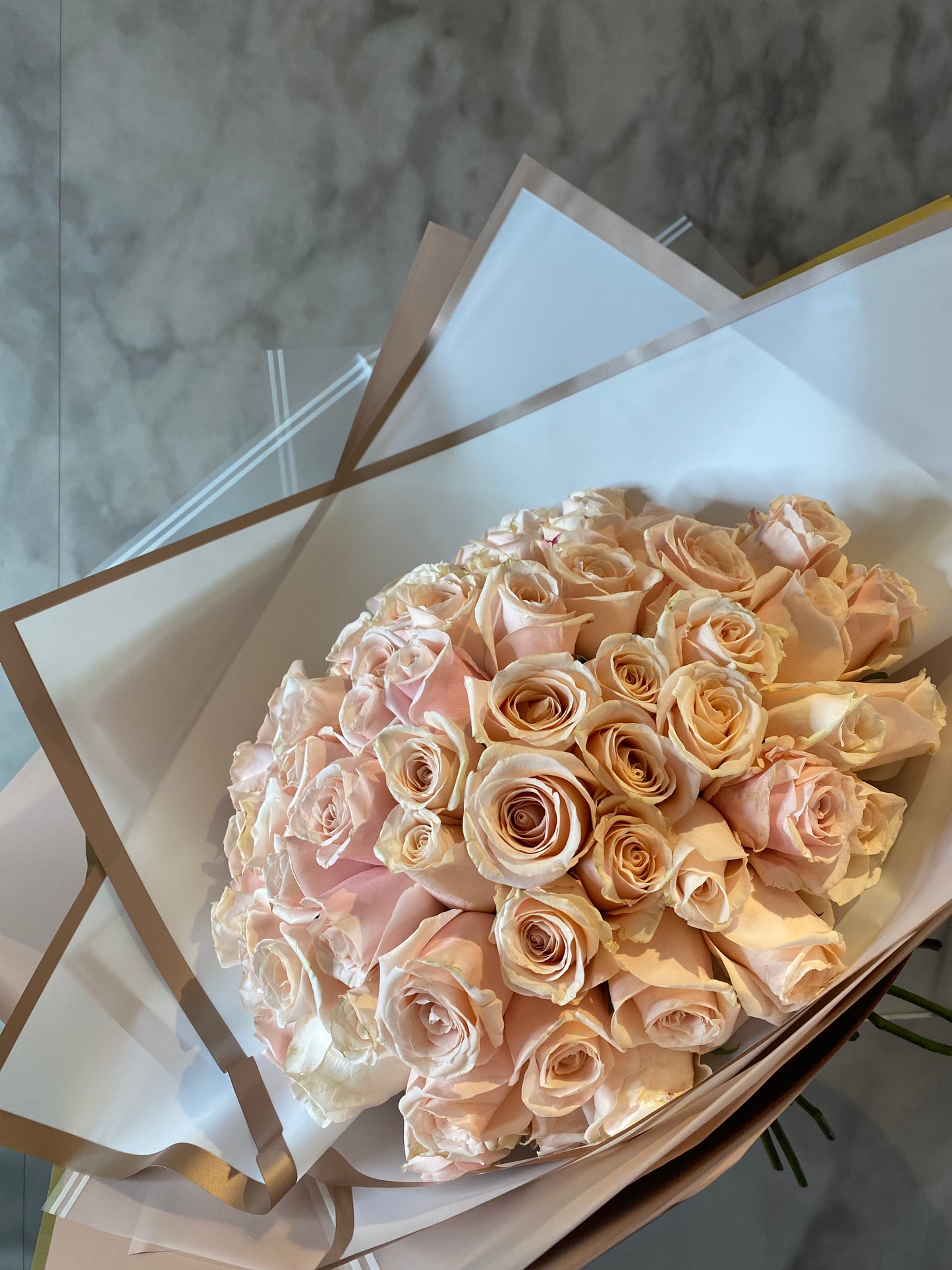 Royal Magnificent - 70