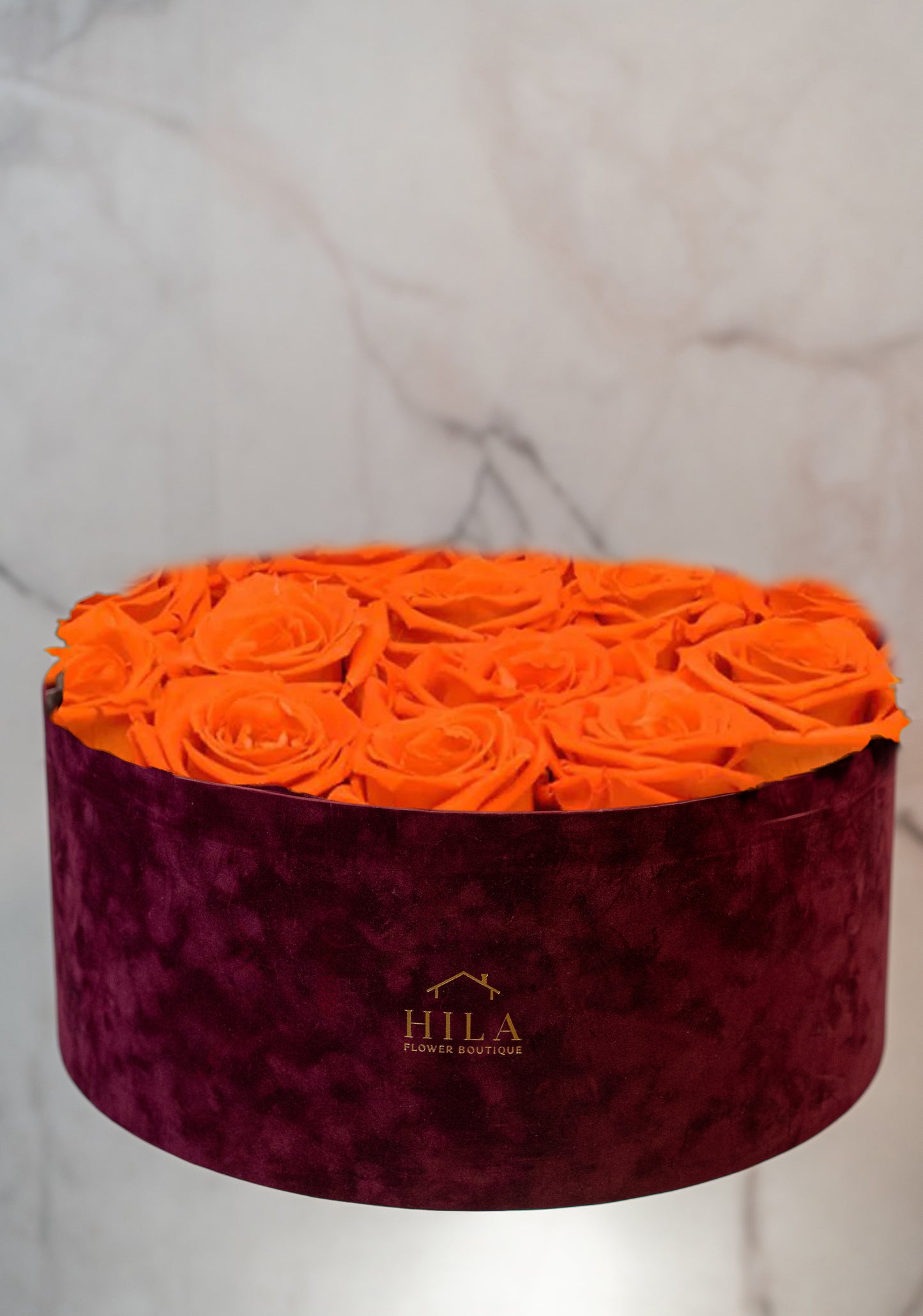 Regal Elegance - 120