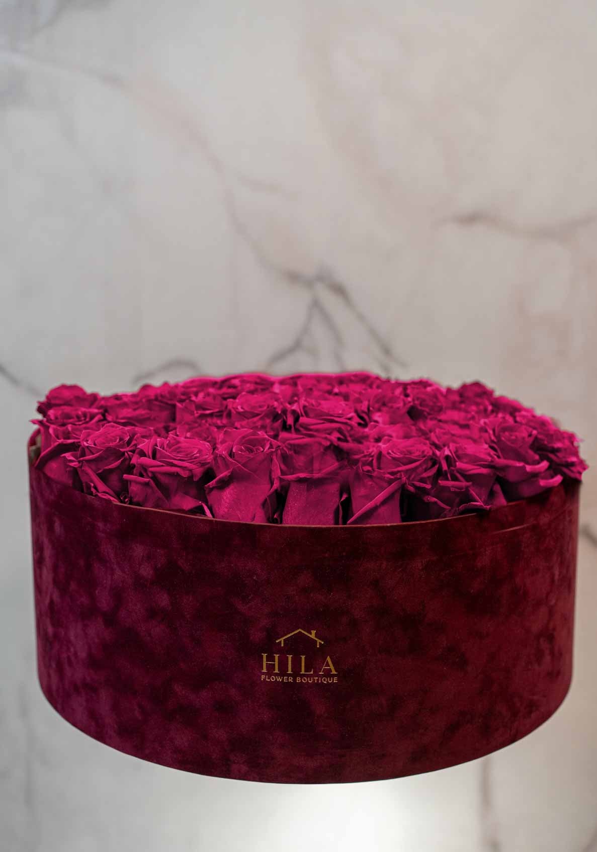 Regal Elegance - 120