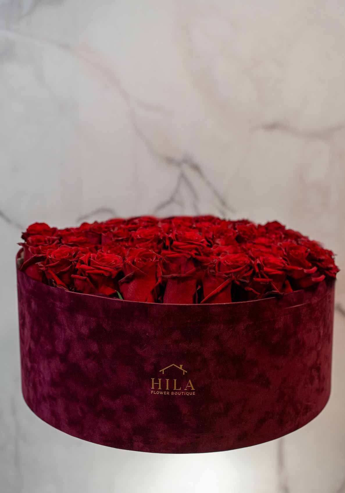 Regal Elegance - 120